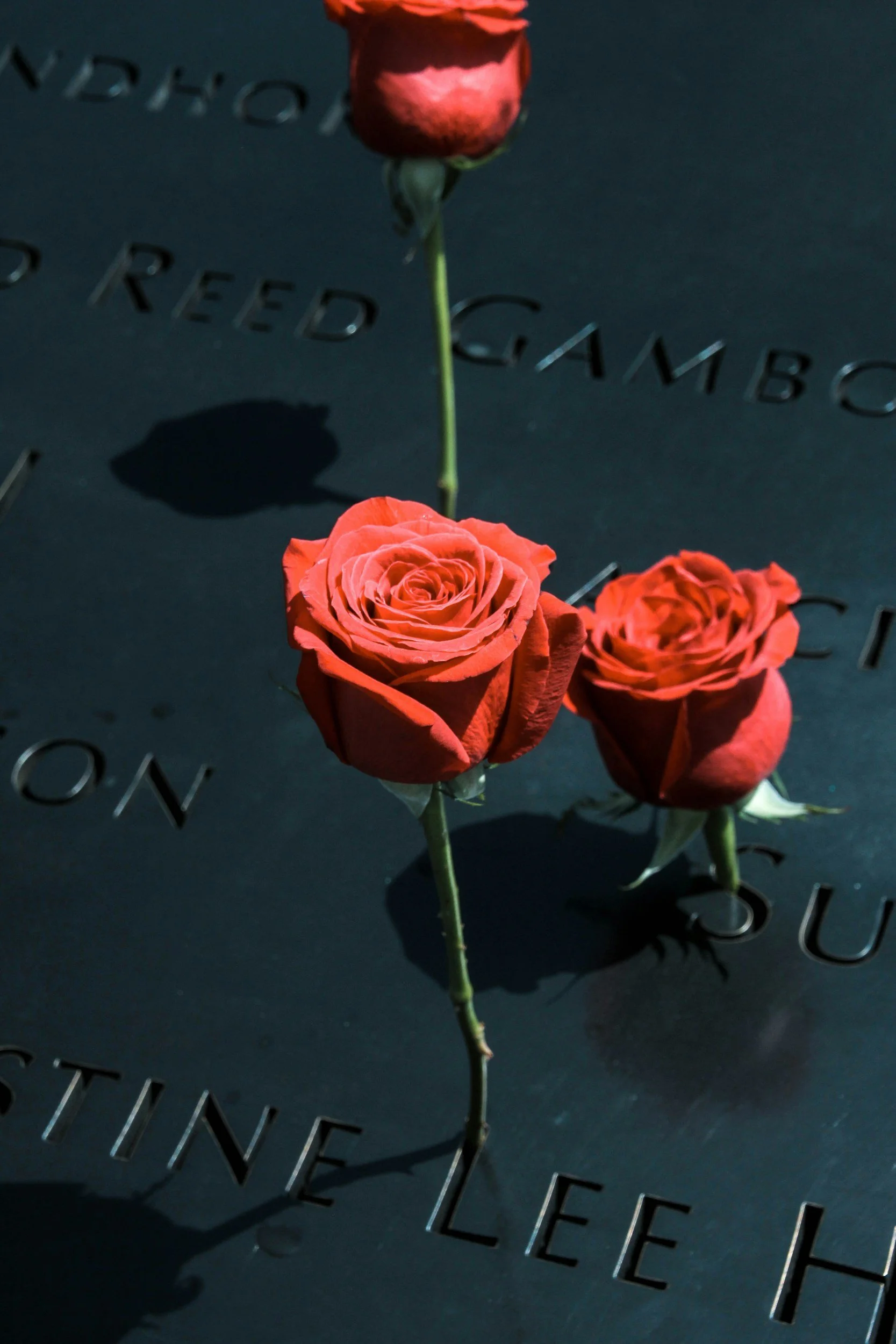 Memorial Day