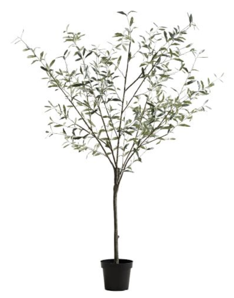 Faux Potted Olive Tree Williams Sonoma