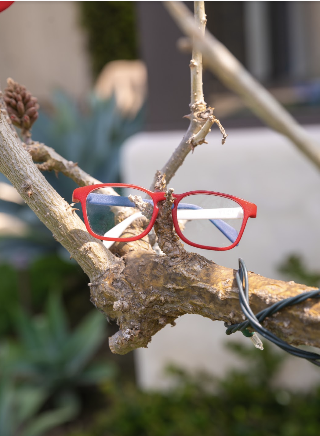 What to Do When Your Child Loses Their Glasses