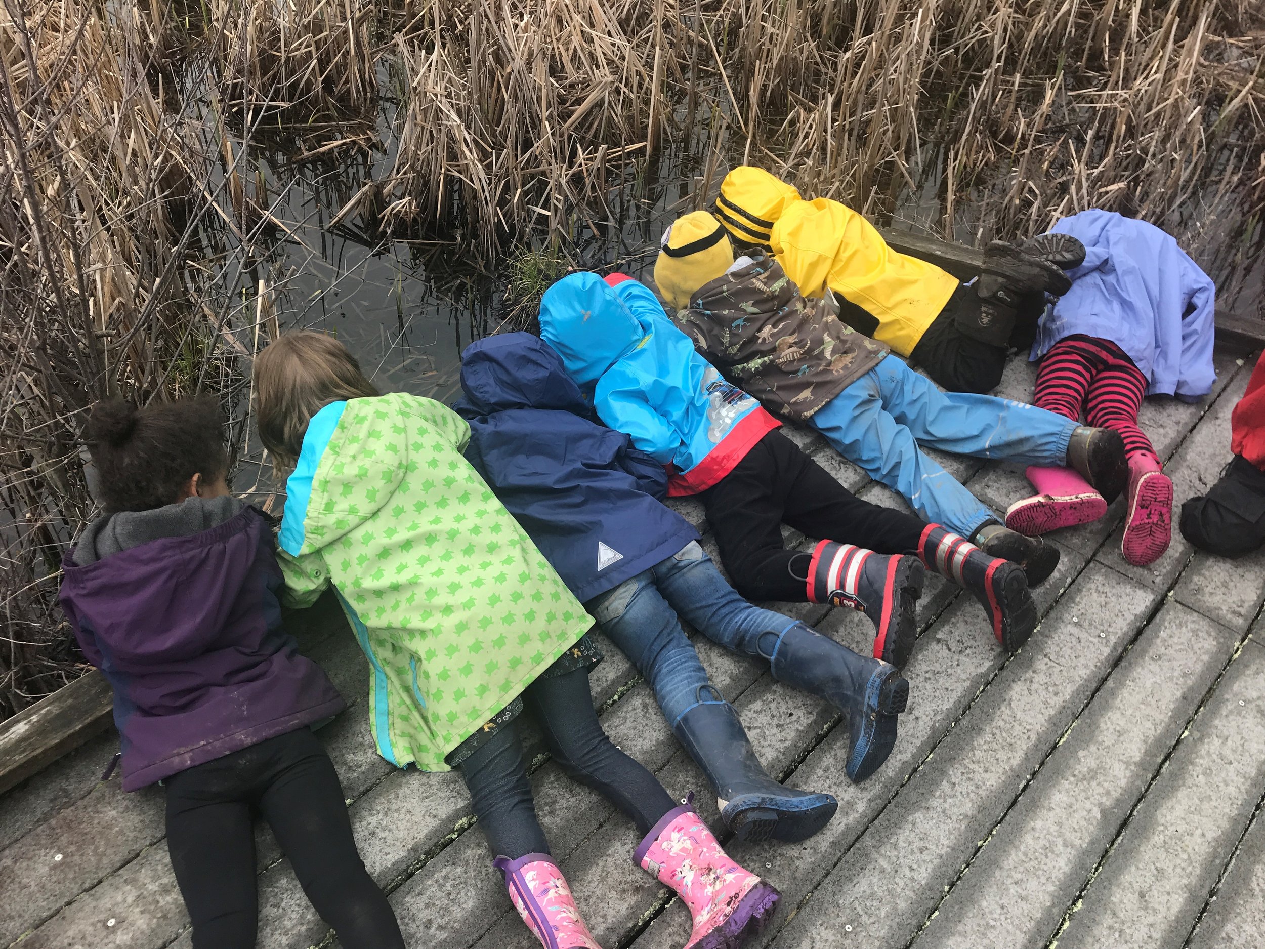 Kids looking over dock- BNC.jpg