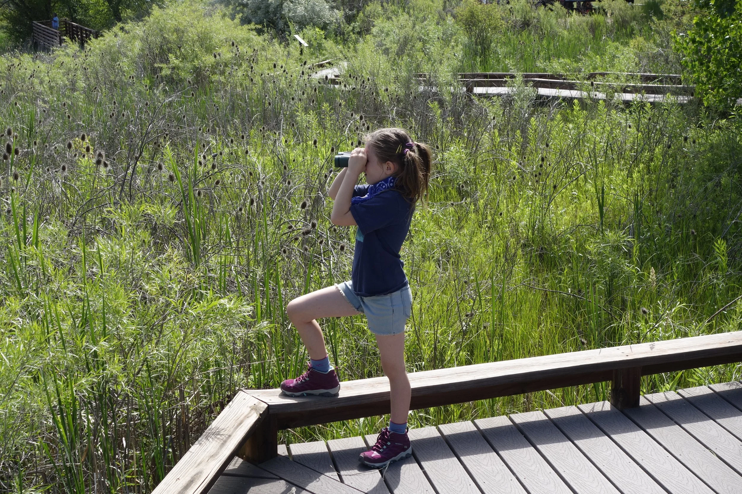 Birding With Kids- Thorne Nature Experience’s Top 6 Places in Boulder County, Colorado