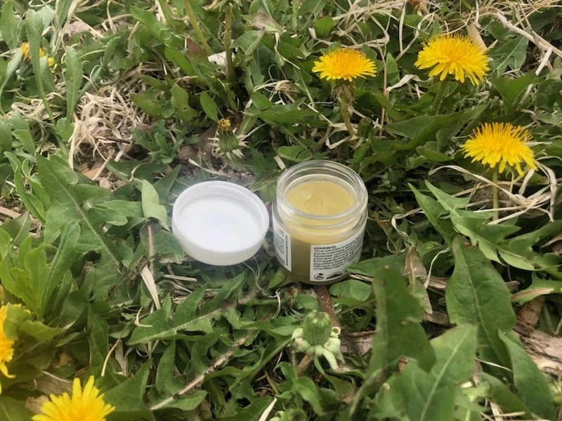 Homemade Cottonwood Salve (Part 3)