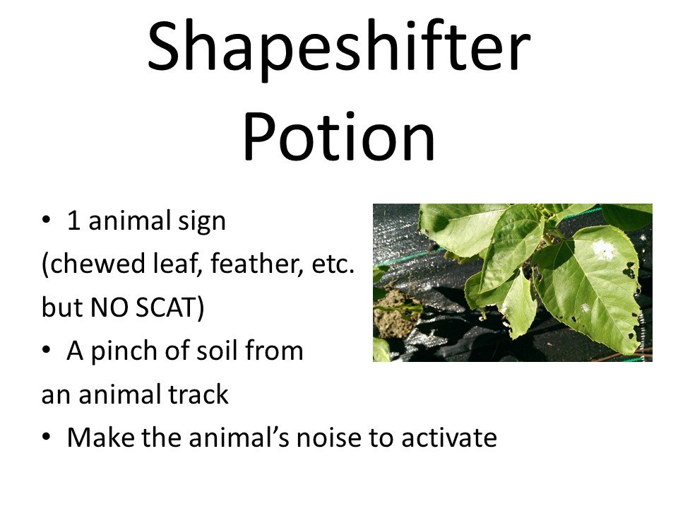 Shapeshifter potion.JPG