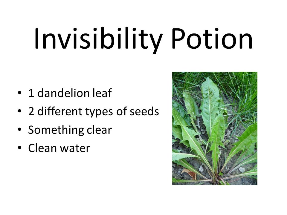 Invisibility potion.JPG