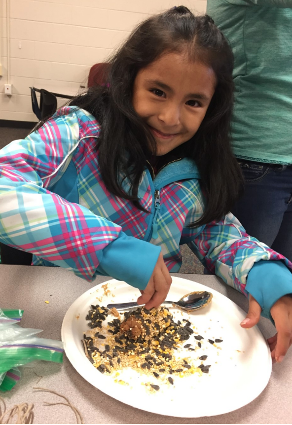 Homemade Bird Feeder