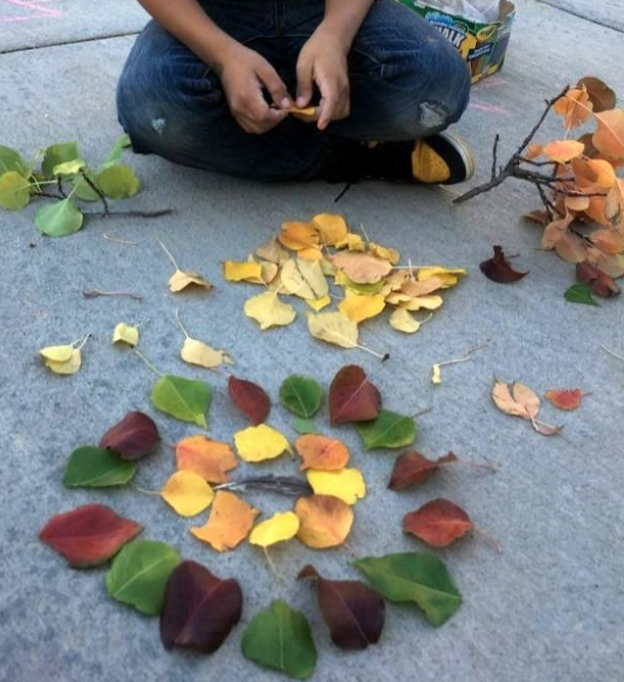 Nature Mandala