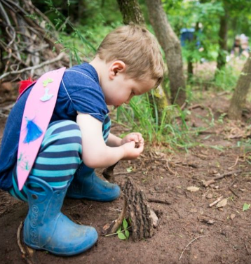 Building Fairy Houses