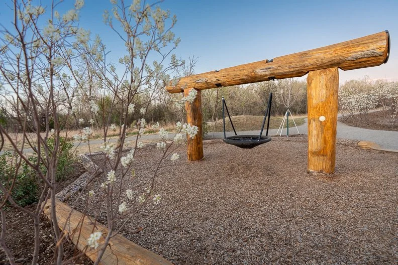 Thorne_Playground_2026_0007.jpg