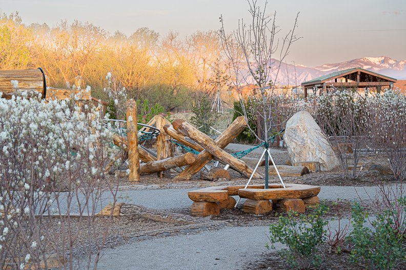 Thorne_Playground_2026_0022.jpg
