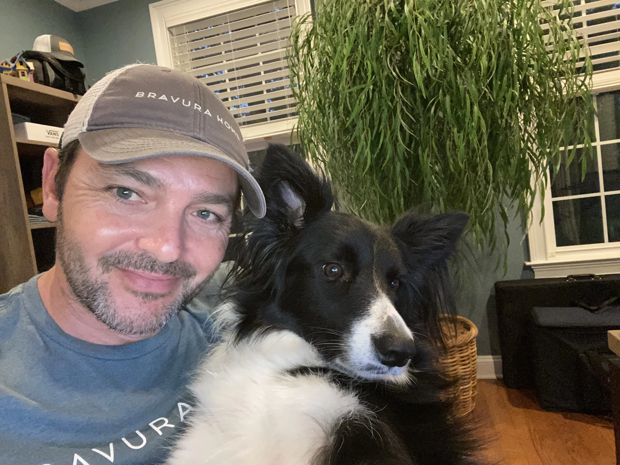 Bravura Dog Kit!