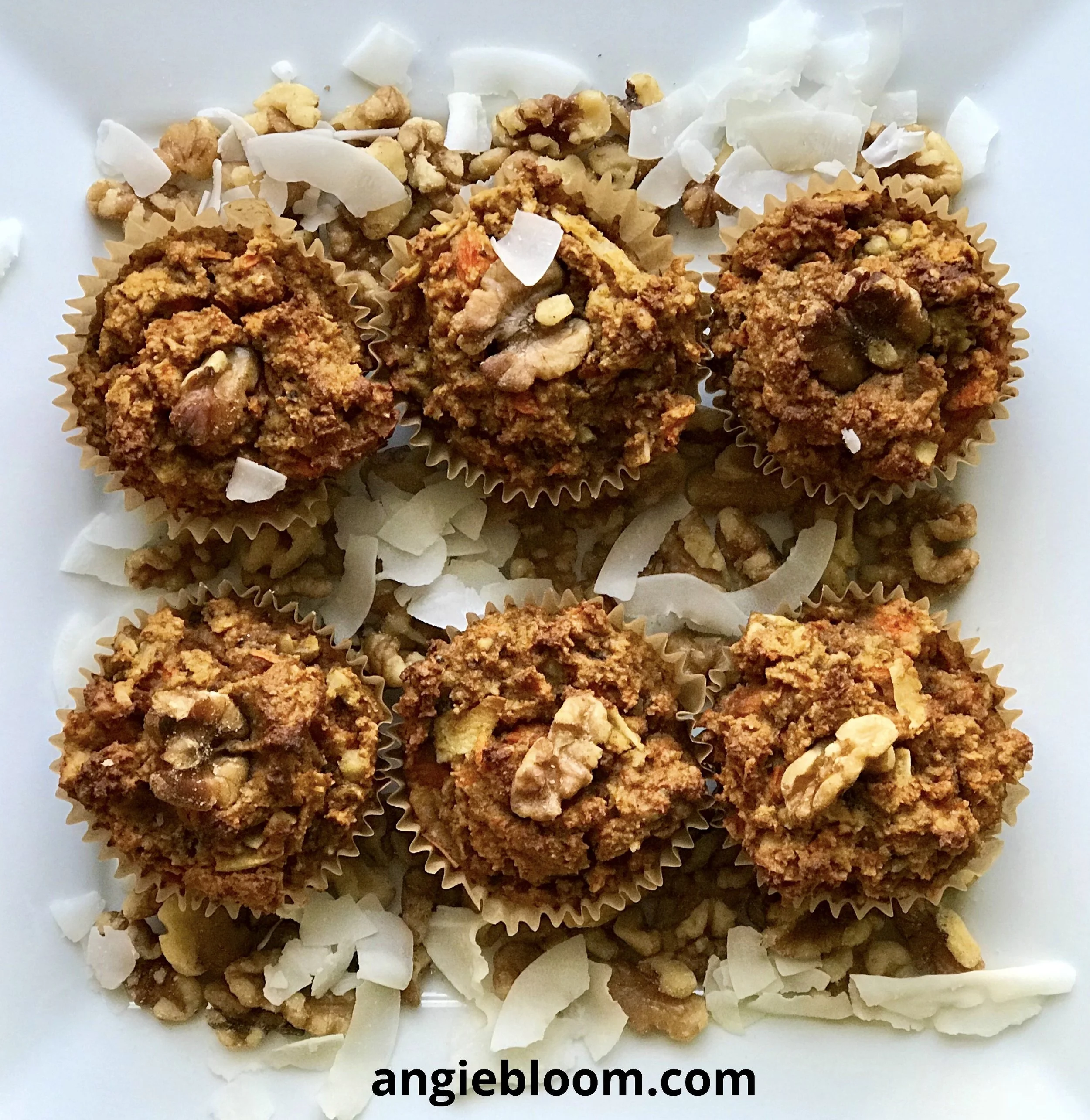 Healthy Paleo Morning Glory Muffins (Gluten Free and Dairy Free)