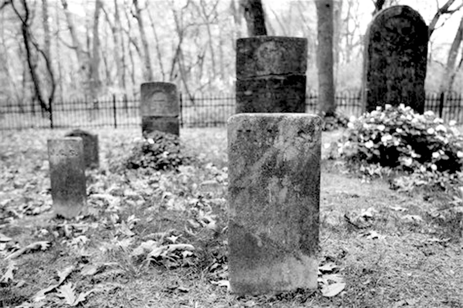 Stewart’s Scottish Cemetery in Marengo