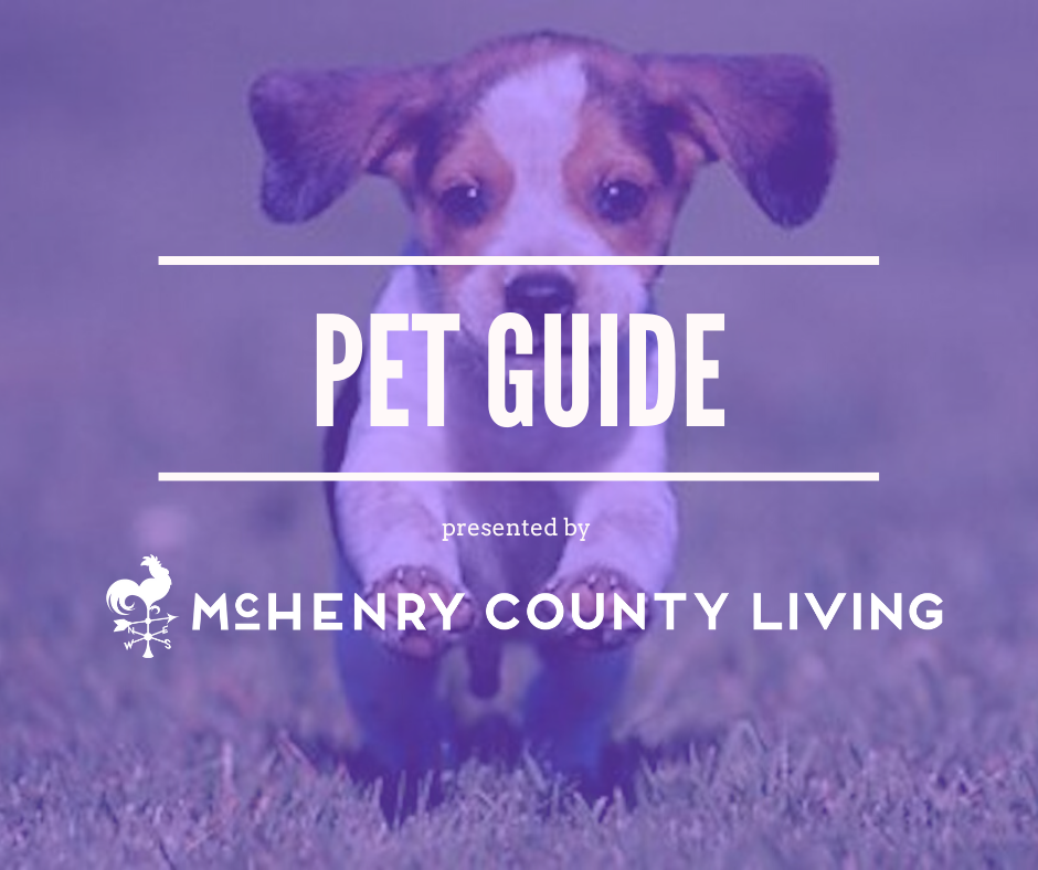 Pet Guide Mchenry County Living