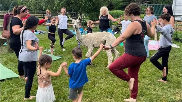 Yogapaca: Family Edition