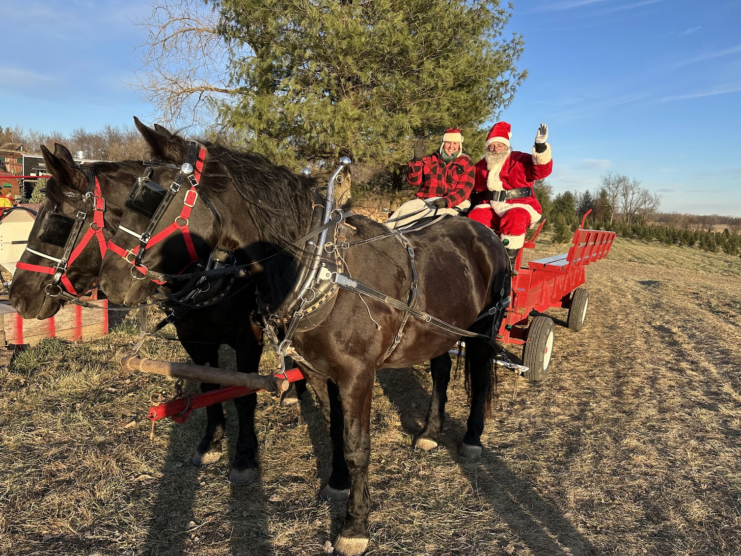 Santa with Horses 2025.png