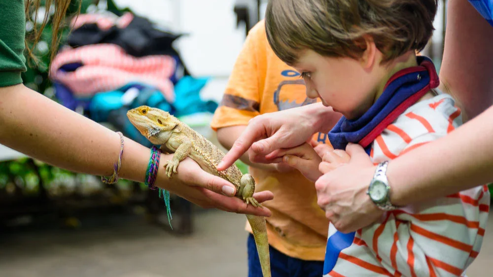 Live Interactive Reptile Meet &amp; Greet