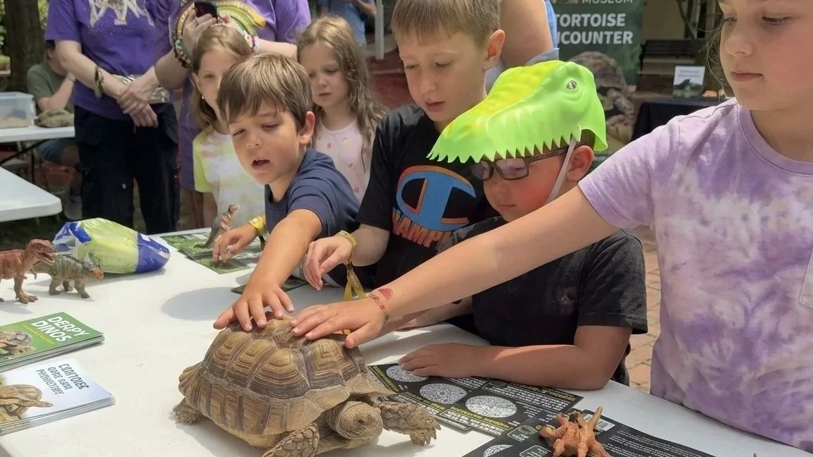 Live Interactive Reptile Meet &amp; Greet at Jurassic Gardens