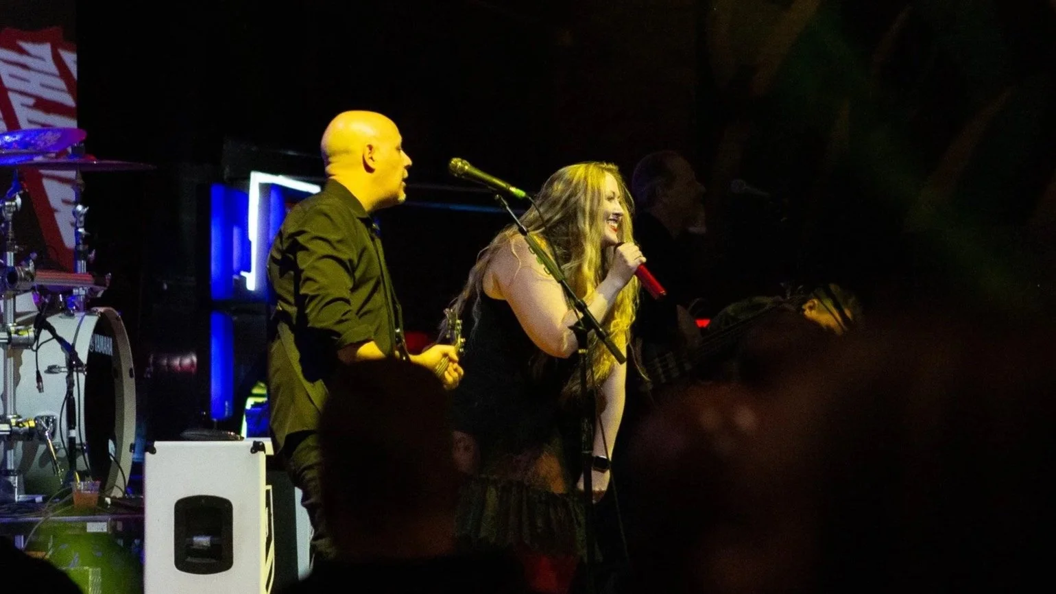 Freebyrd: Lynyrd Skynyrd (afternoon) My Metal Heart + X-Side (evening) 