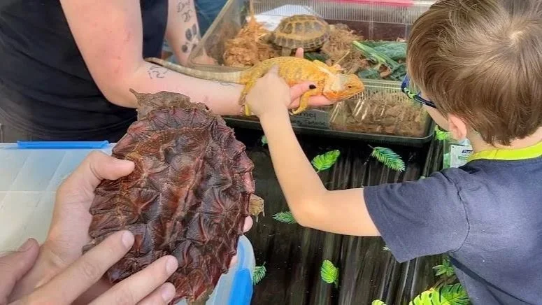 Live Interactive Reptile Meet &amp; Greet