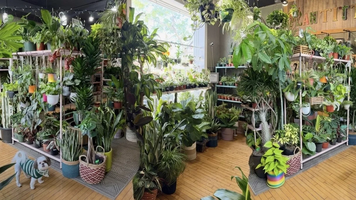 Mis Plantitas 5th Anniversary Weekend Sale &amp; Celebration