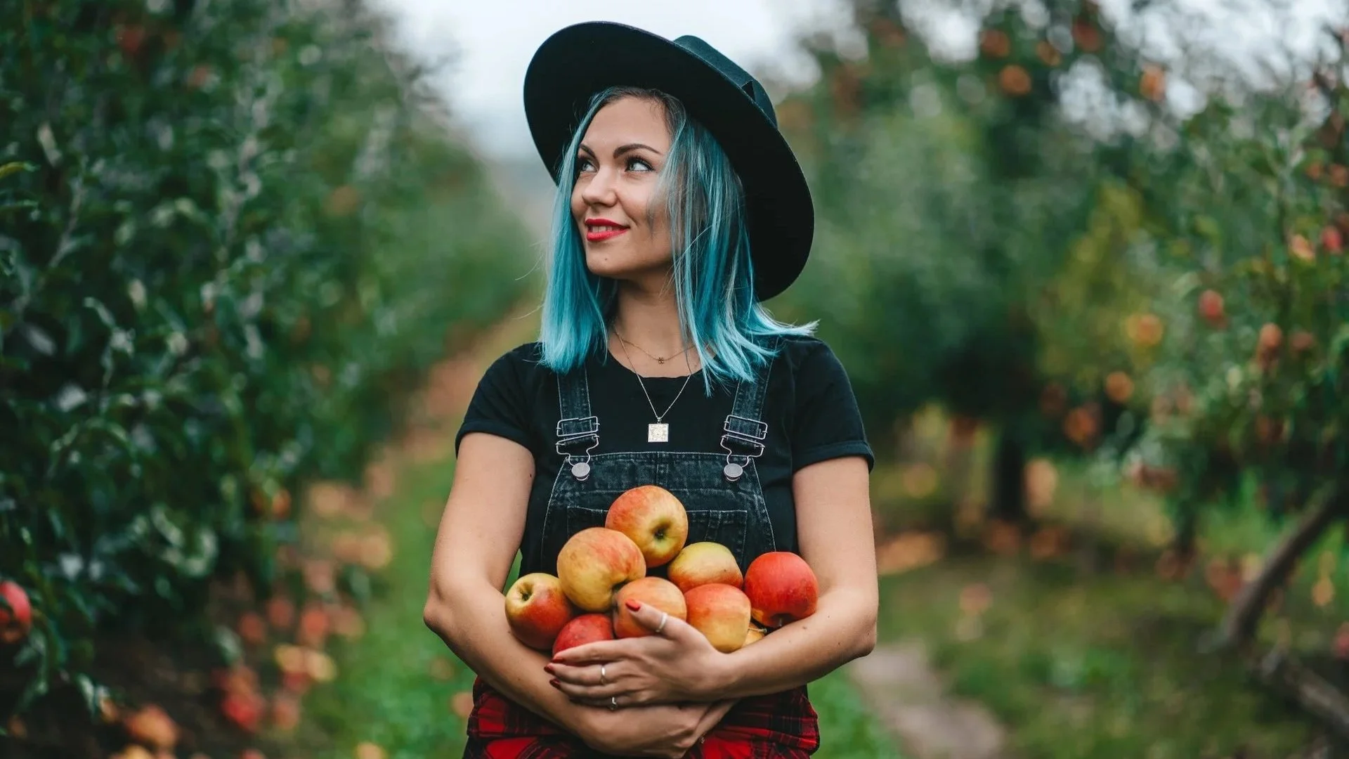 Best Apple Orchard