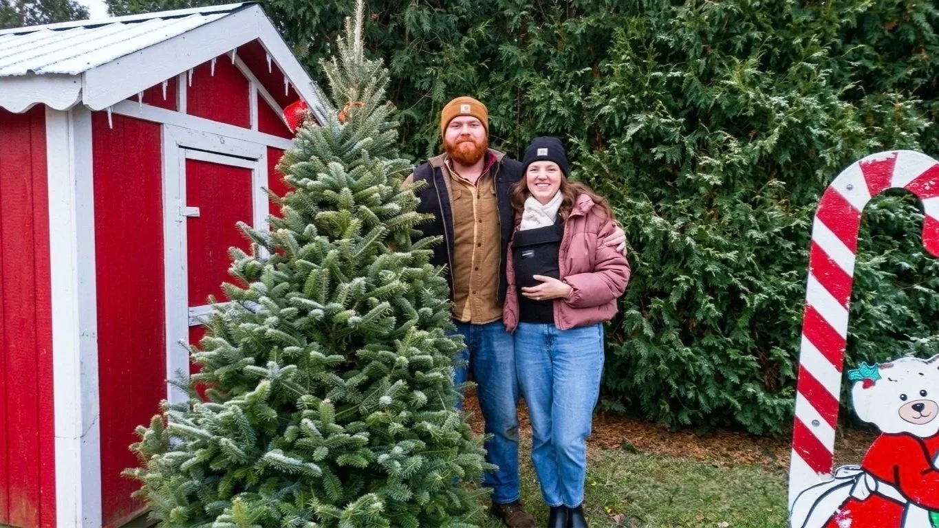 Conifera Christmas Tree Farm Opens for Early Birds