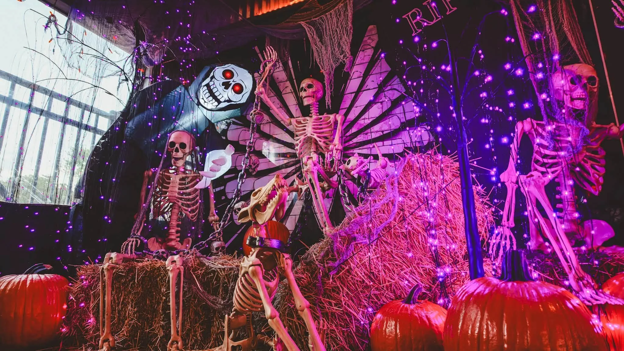 Fright on the Fox: Halloween Pop-Up Bar at Broken Oar