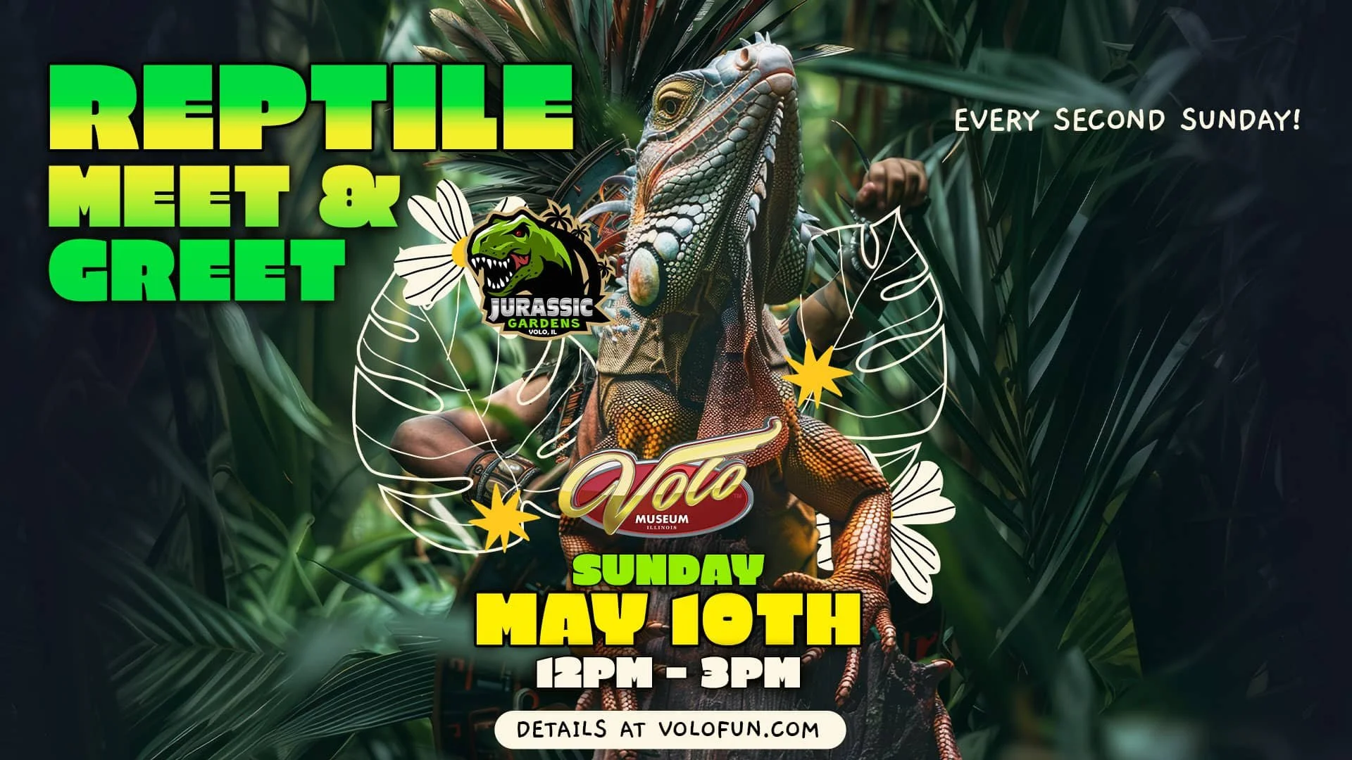 Live Interactive Reptile Meet &amp; Greet