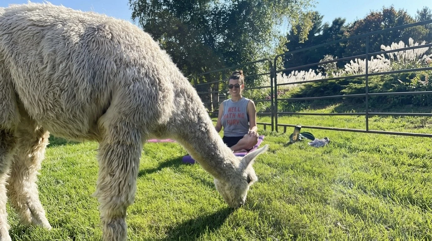 Yogapaca: Alpaca Yoga