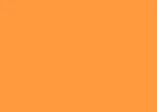 Orange bkgrd.jpg