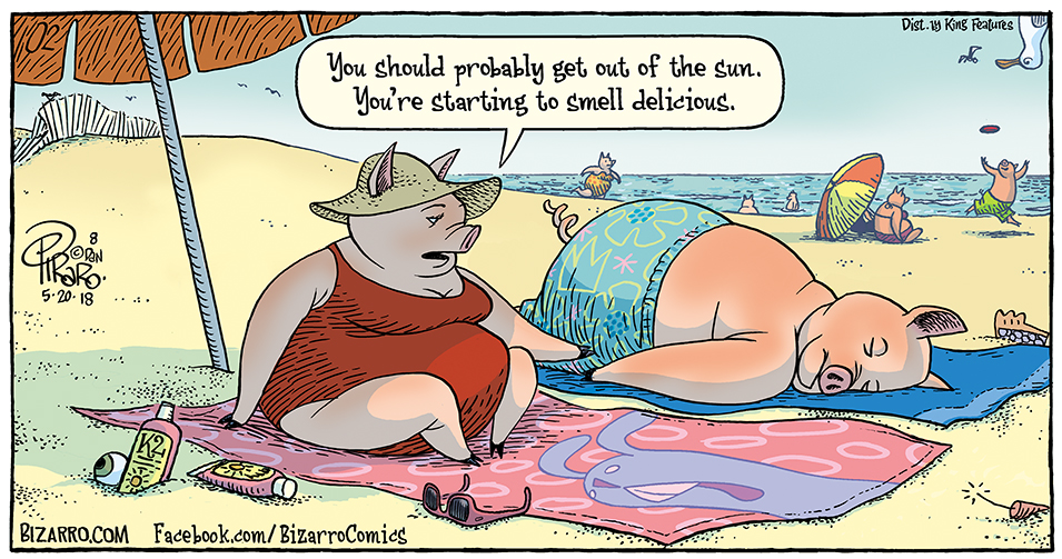 Bacon in the Sun — Bizarro