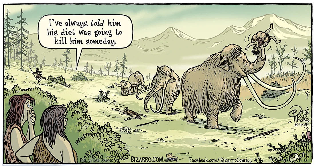 Bizarro 08-11-19 WEB.jpg