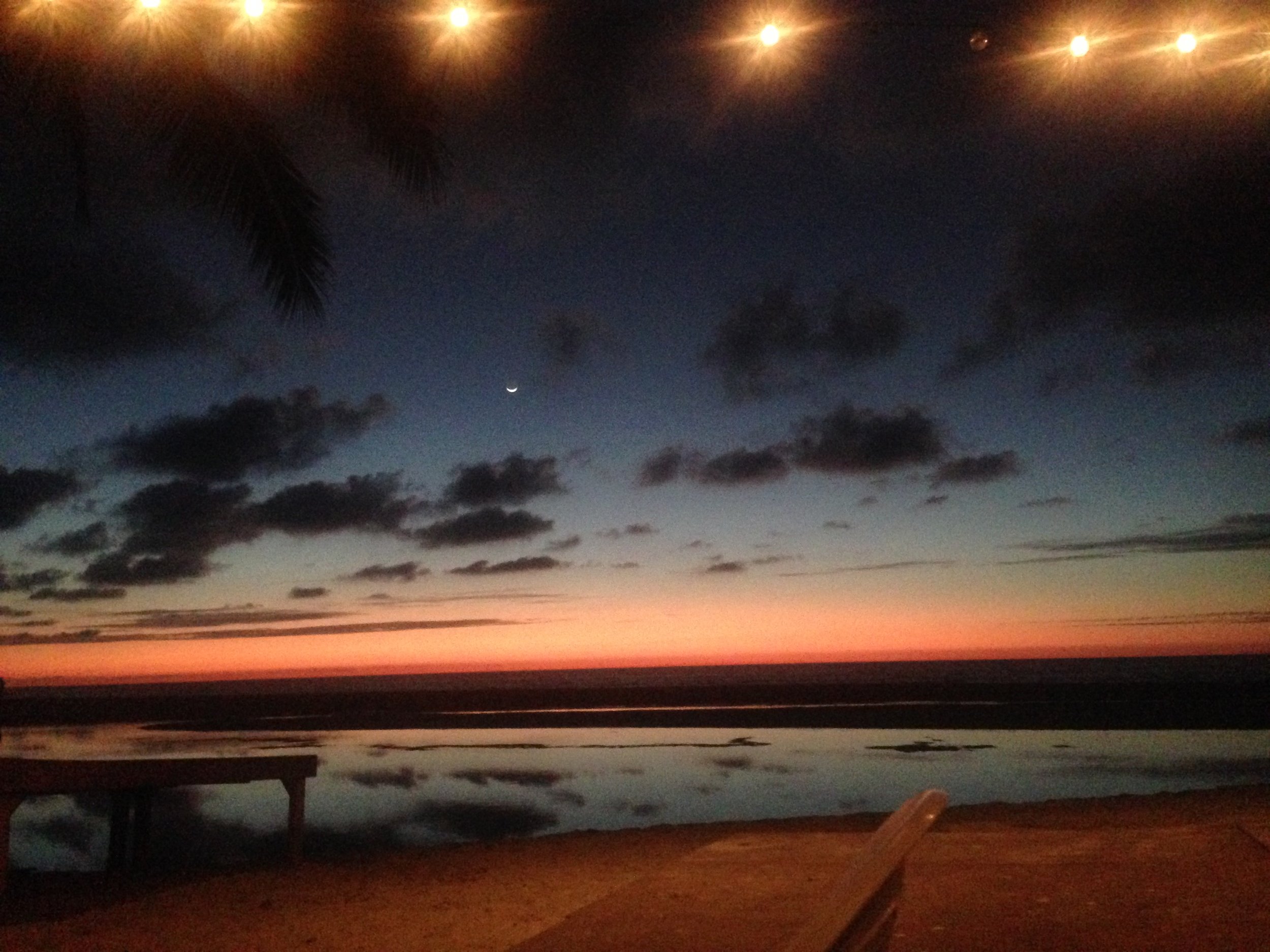 IMG_8866.jpg