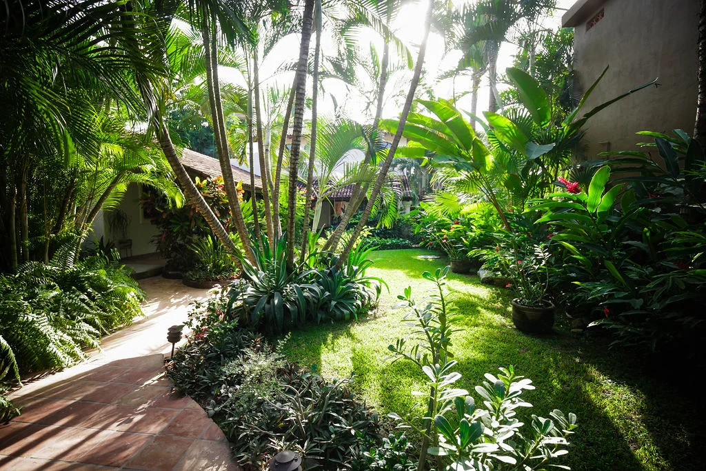 nice front garden.jpg