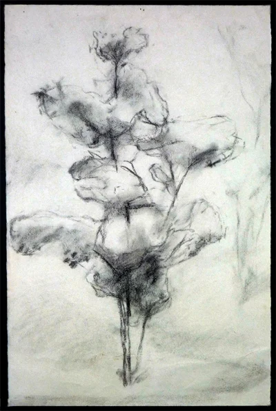 Small tree