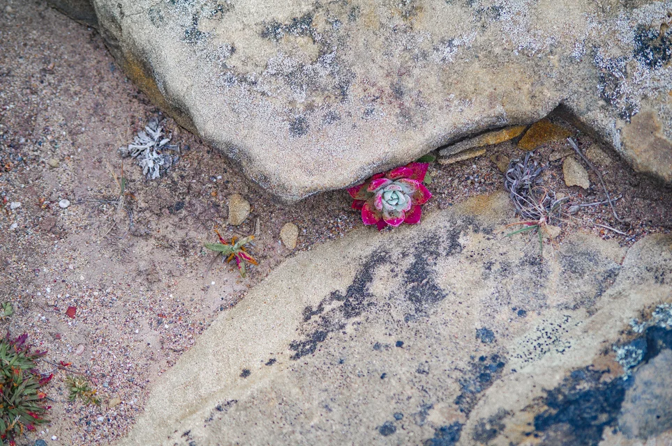 IMGP8615.jpg