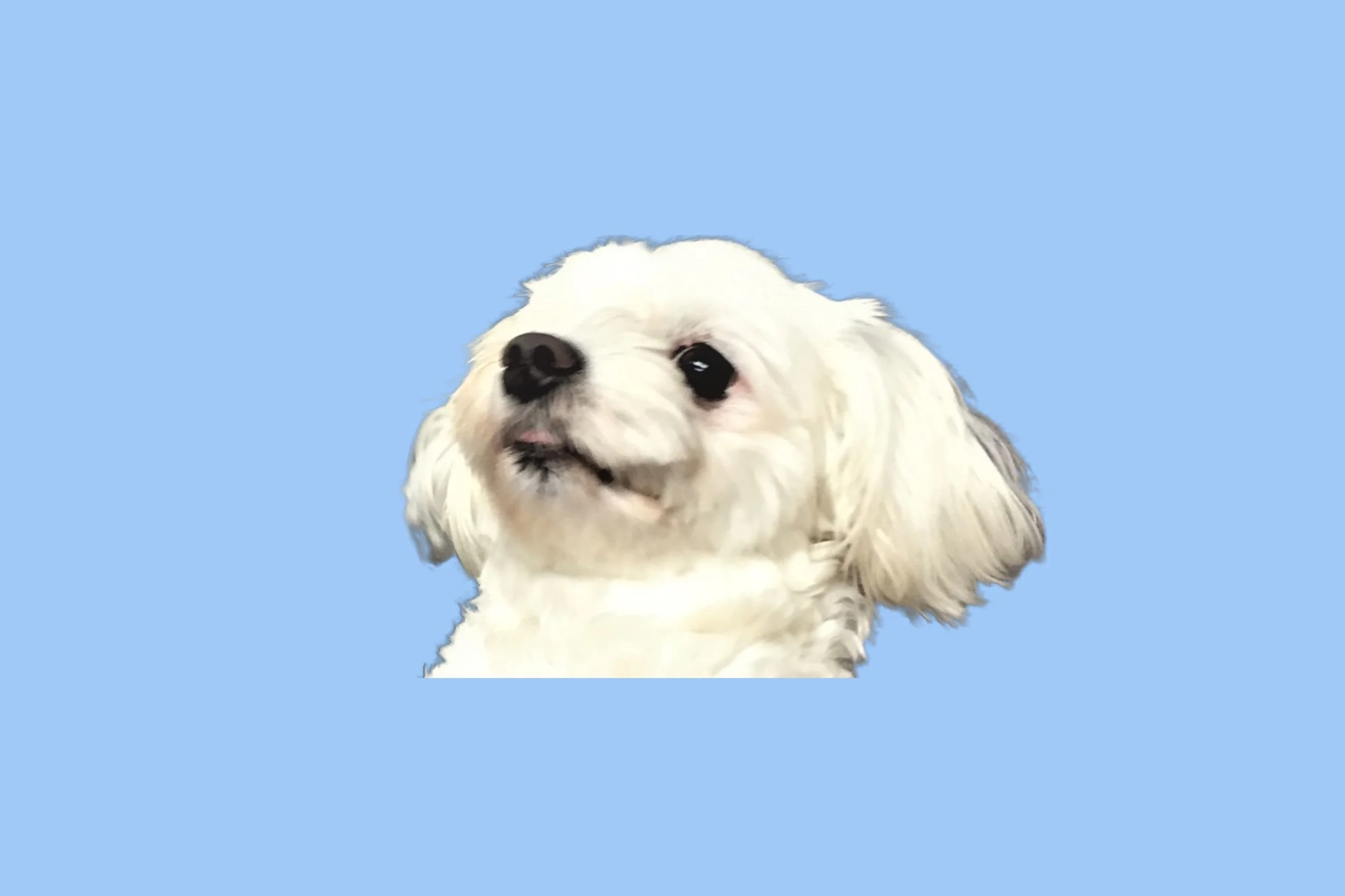 View months worth of statements online, whenever you want, from wherever you are.