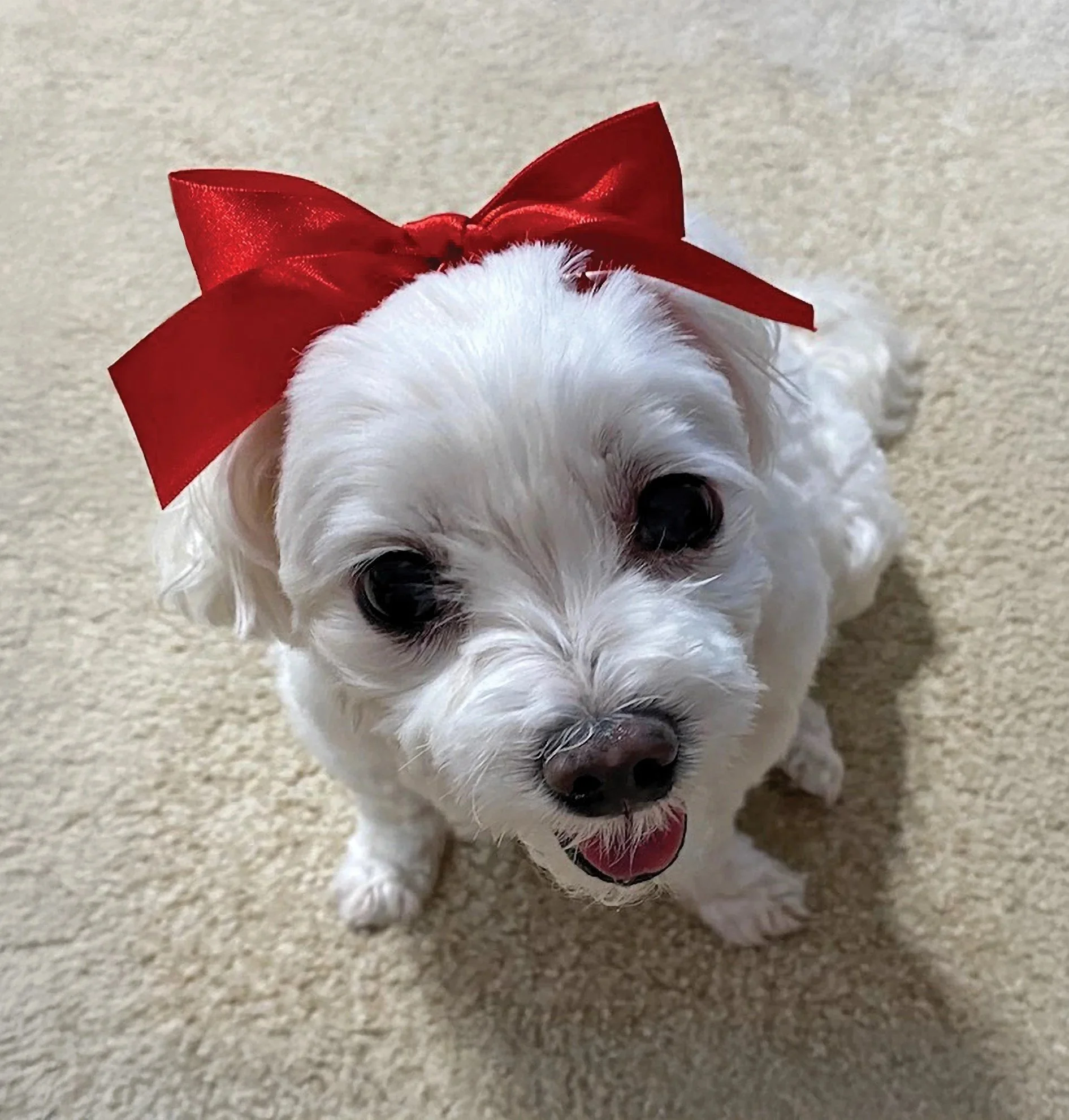 6 Month Share Certificate SPECIAL!