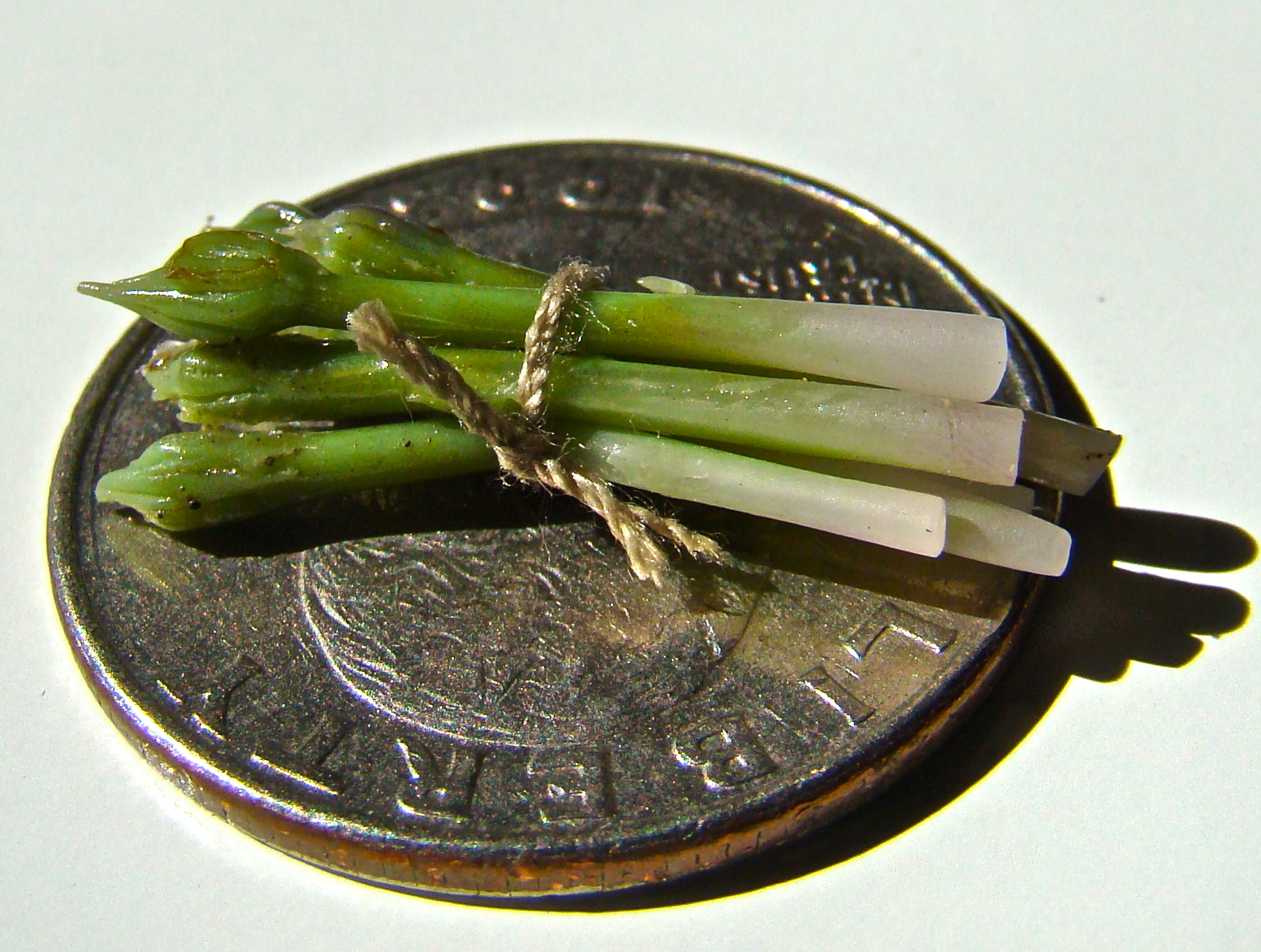 asparagusquarter.JPG