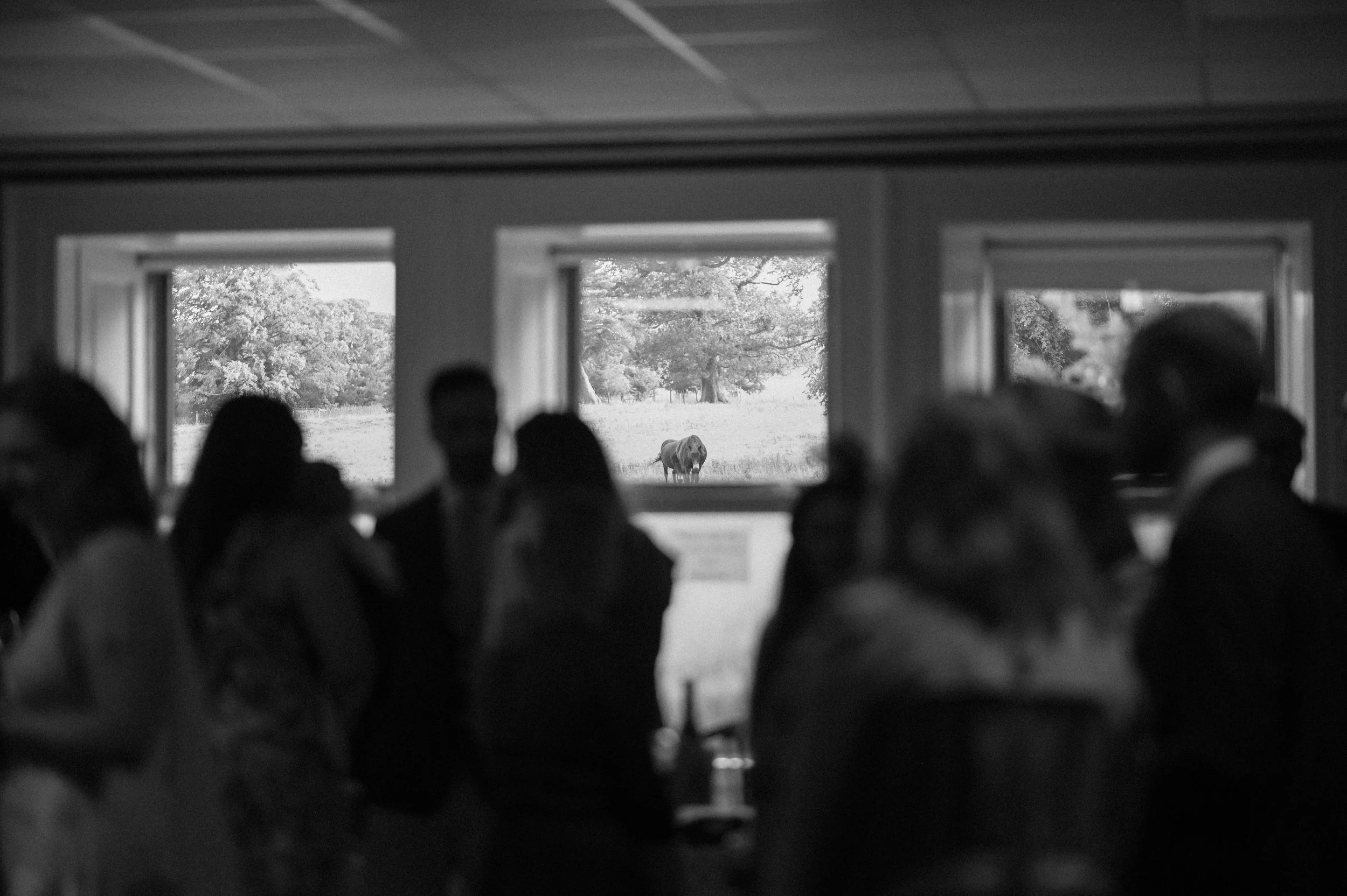 Tilly Conolly Photography - St Elizabeth Church Wedding Photographer, Durham, Whitstable, Kent, London and UK Wedding Photographer