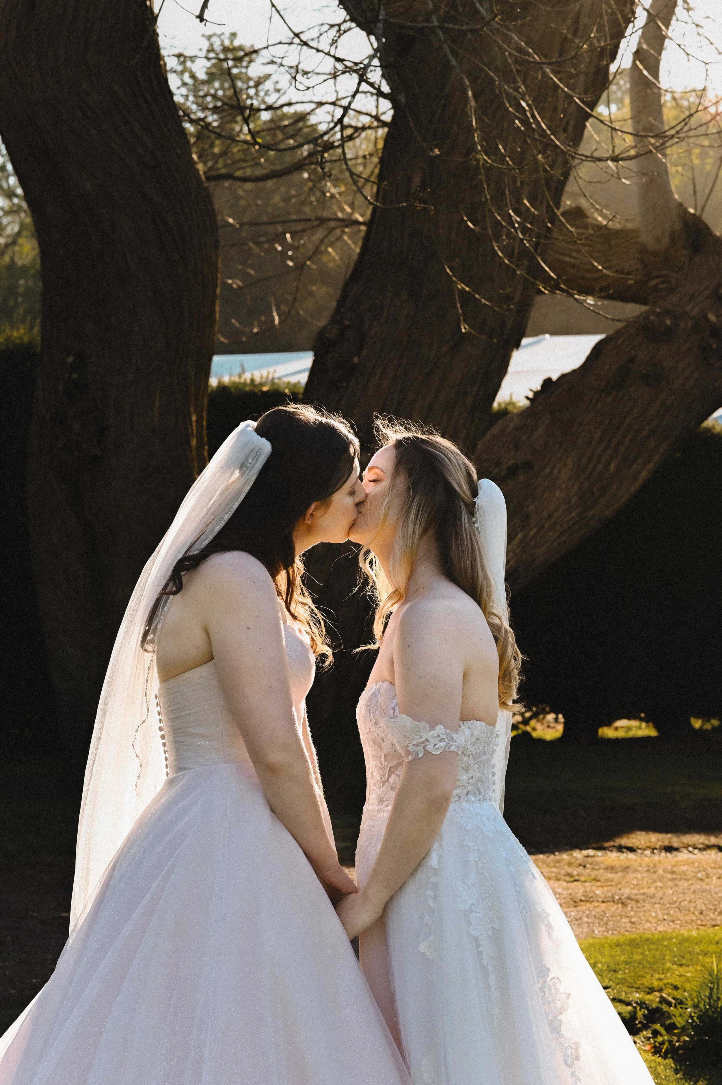 A colour photograph at Broome Park Hotel of two white women, brides on their wedding day. They are standing below a large tree and the light is golden. They are holding hands as they kiss.