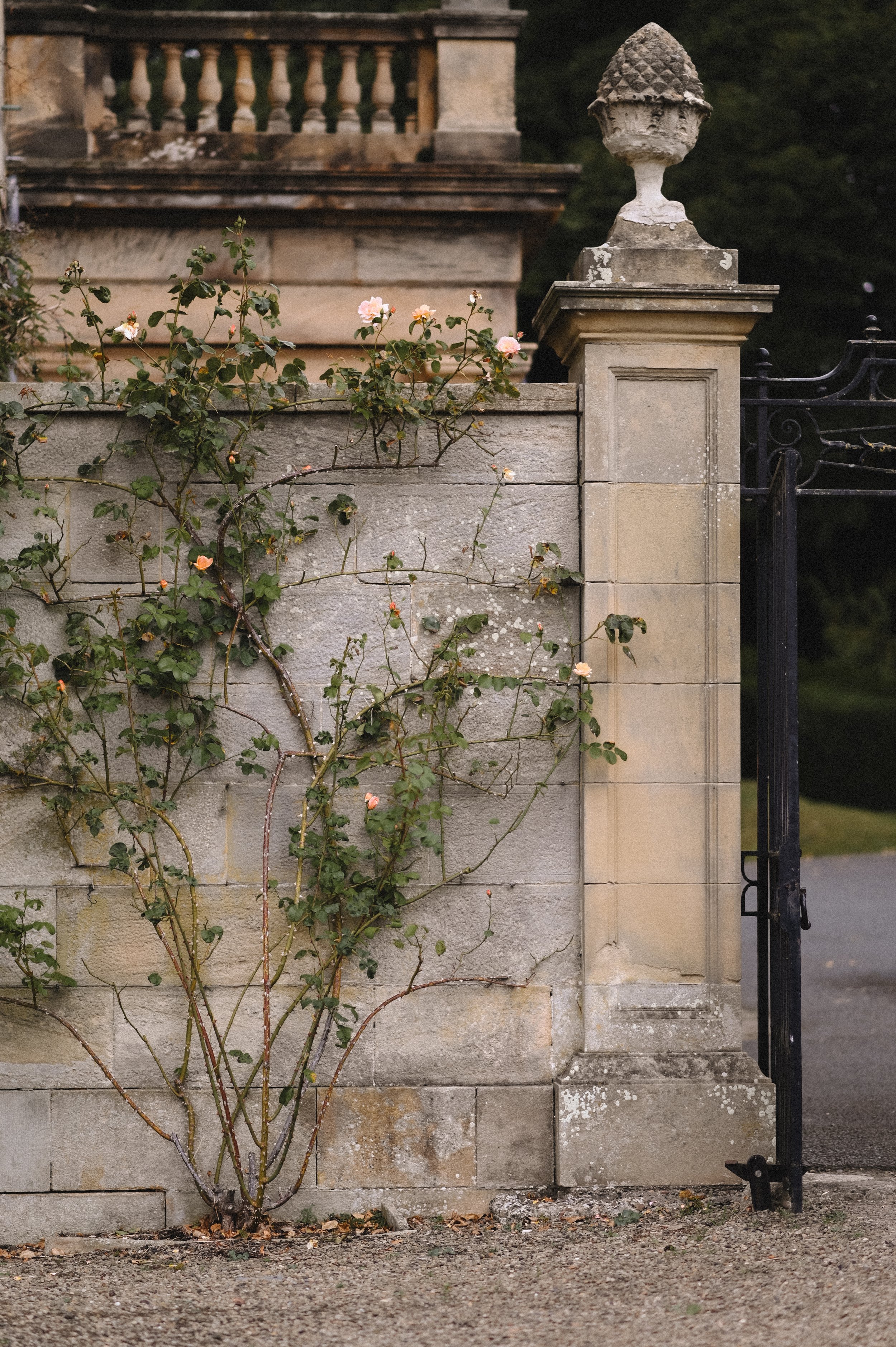 Tilly Conolly Photography - Stagshaw House Wedding Photographer, Durham, Whitstable, Kent, London and UK Wedding Photographer