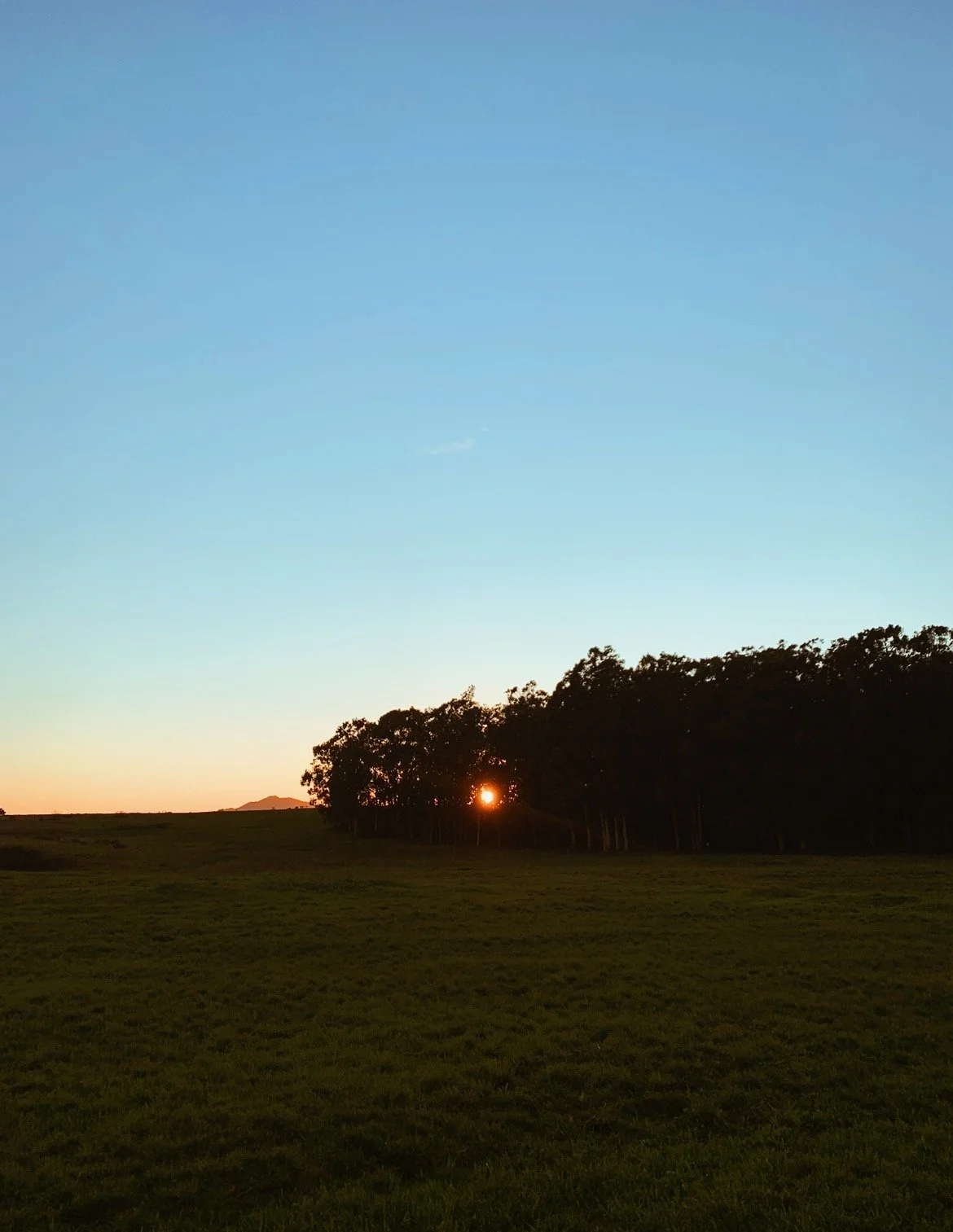 Photo 22 .JPG