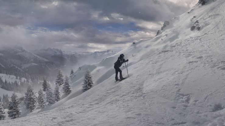 Idorsia Agency Edit-high.gif