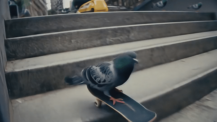 Pigeon Skateboard-high.gif