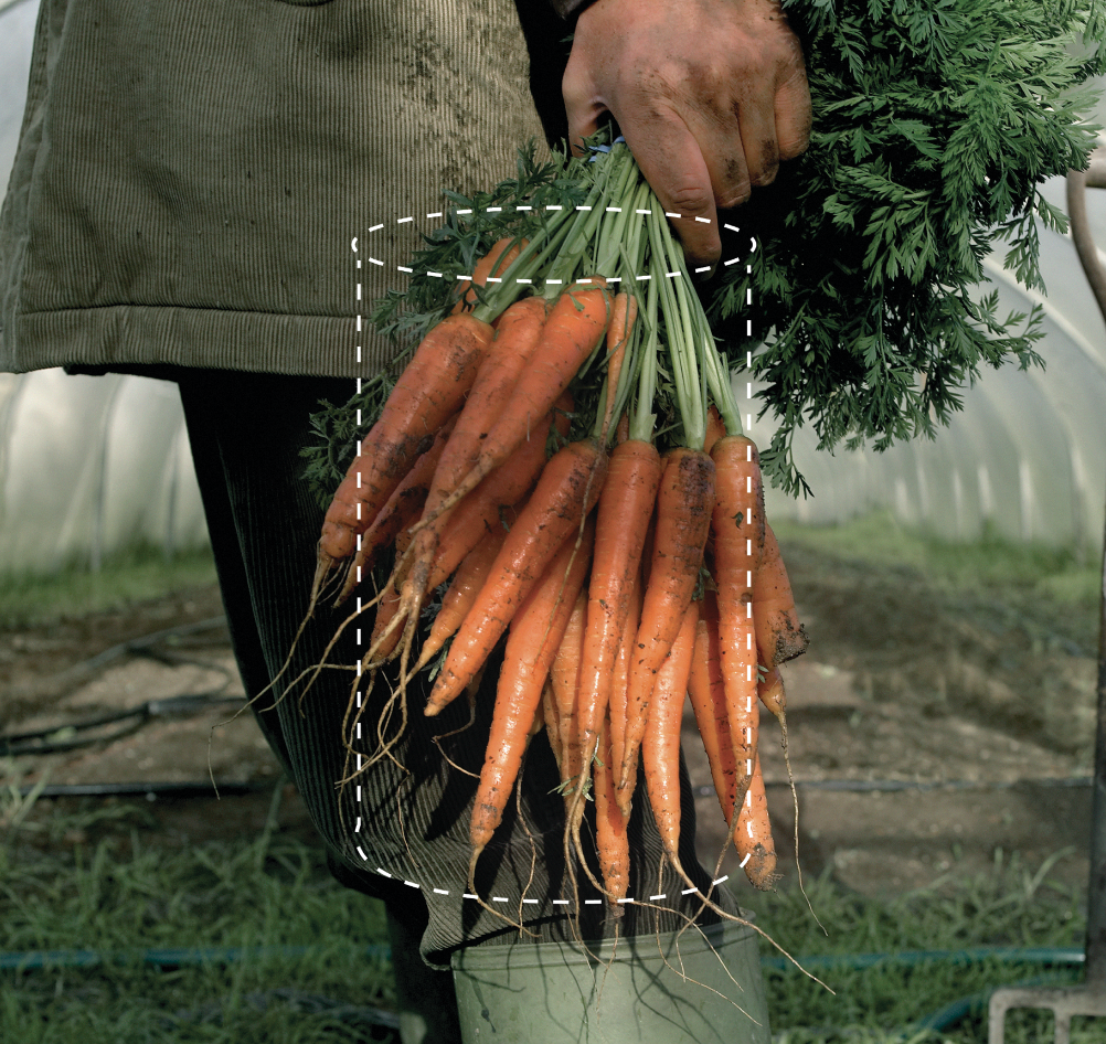 Screen Shot 2019-02-23 at 6.50.52 PM.png