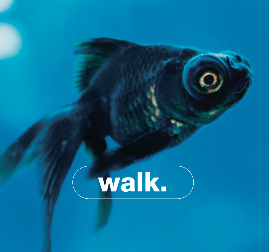 Screen Shot 2019-02-23 at 7.02.02 PM.png