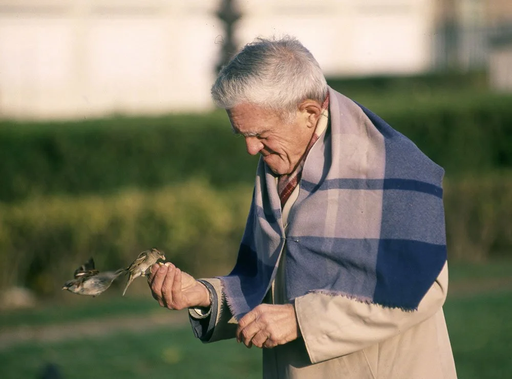 birdman.809-lo res..JPG