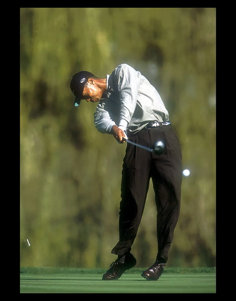 009 tiger woods swing LORES.JPG