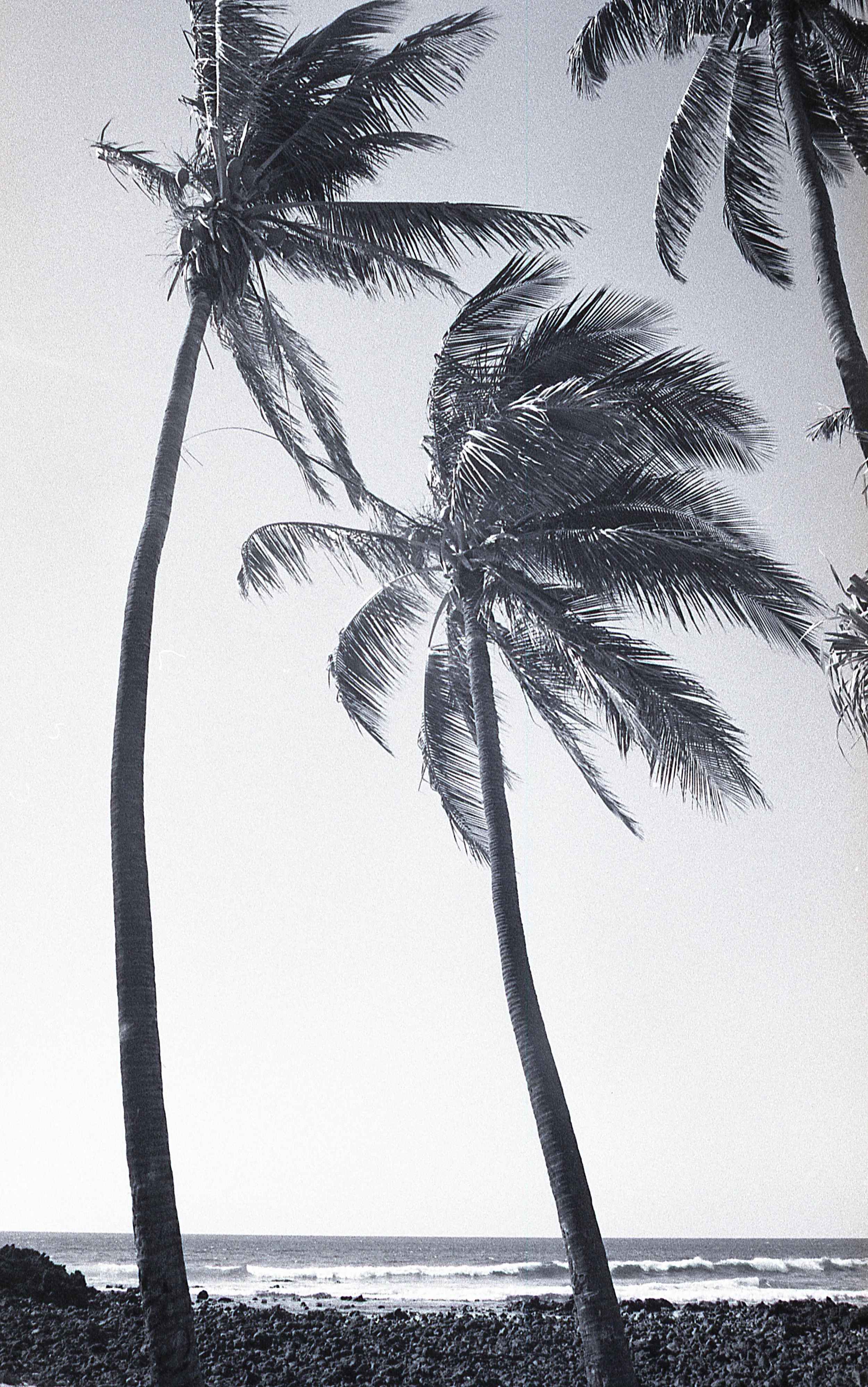 THRID B&W089.jpg